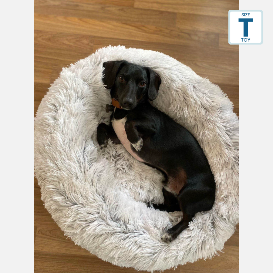 Bedface CERAMO Pet Bed
