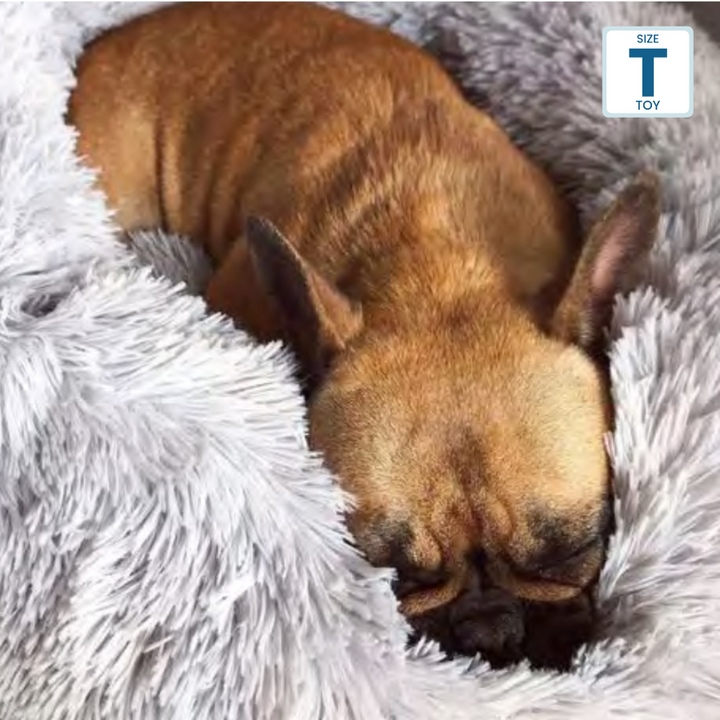 Bedface CERAMO Pet Bed