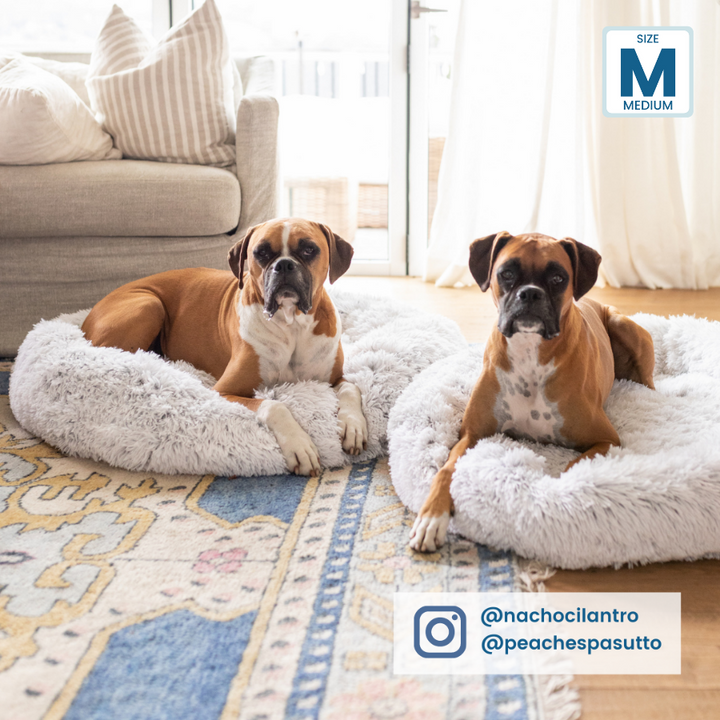 Bedface CERAMO Pet Bed