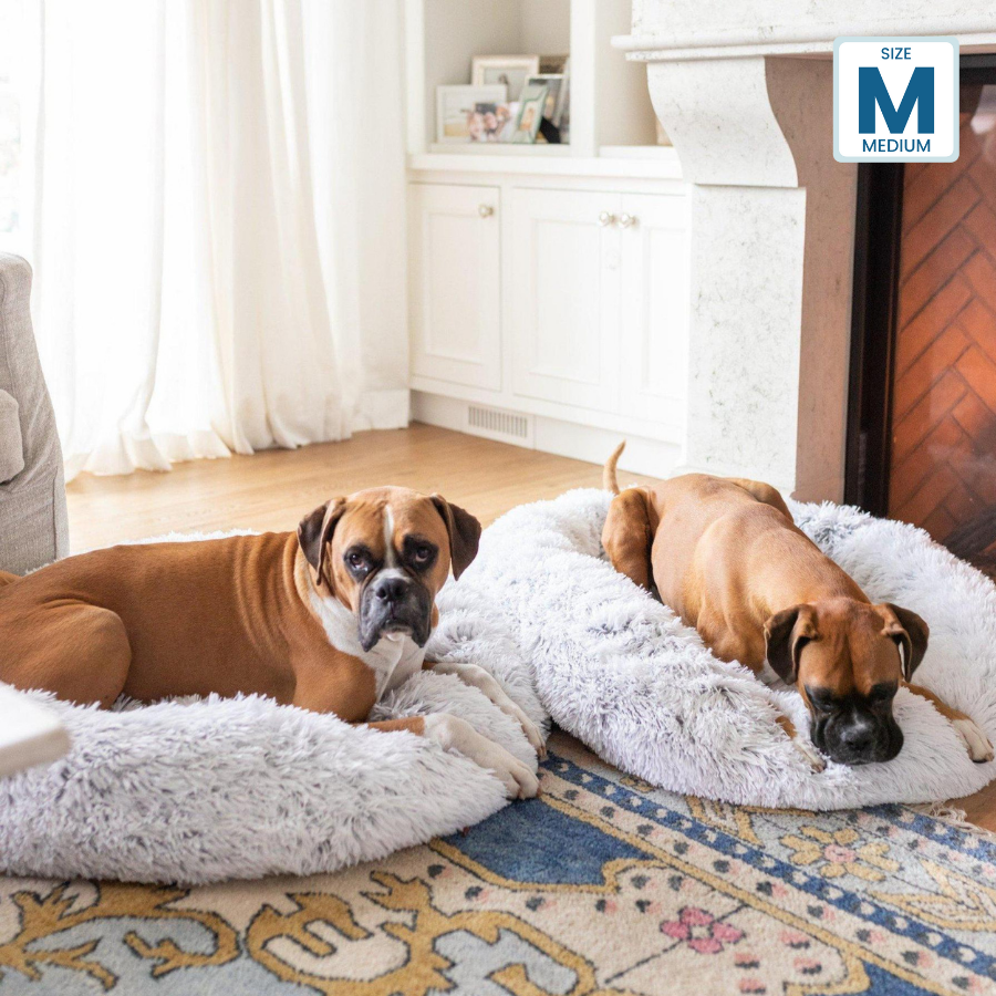 Bedface CERAMO Pet Bed