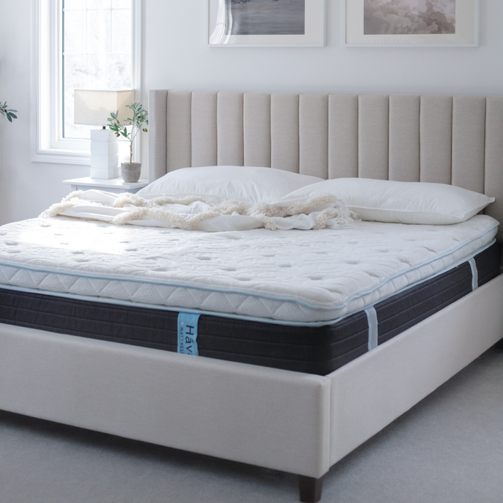 The Great Canadian Sleep In Bundle